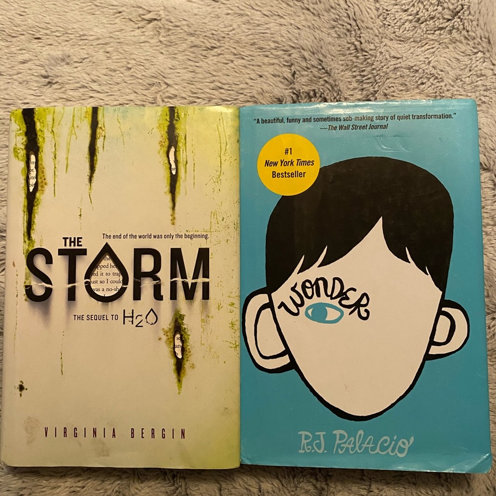Wonder book and the storm book